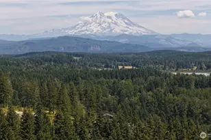 38922 Madrona Dr E, Roy, WA 98580 - Photo 38