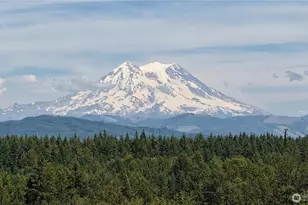 38922 Madrona Dr E, Roy, WA 98580 - Photo 4