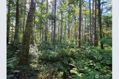 23601 Landers Road SW, Vashon, WA 98070 - Photo 20