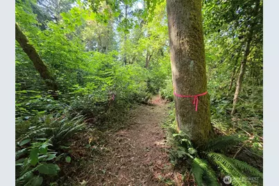 23601 Landers Road SW, Vashon, WA 98070 - Photo 12