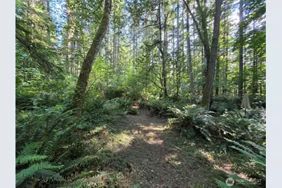 23601 Landers Road SW, Vashon, WA 98070 - Photo 16