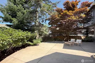 6349 114th Ave SE, Bellevue, WA 98006 - Photo 28