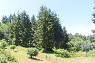 419 Meskill Rd, Chehalis, WA 98532 - Photo 24