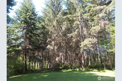 419 Meskill Road, Chehalis, WA 98532 - Photo 30