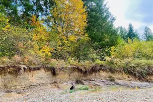 3444 W Matlock-Brady Rd, Elma, WA 98541 - Photo 8