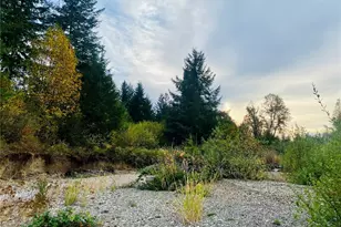 3444 W Matlock-Brady Rd, Elma, WA 98541 - Photo 12