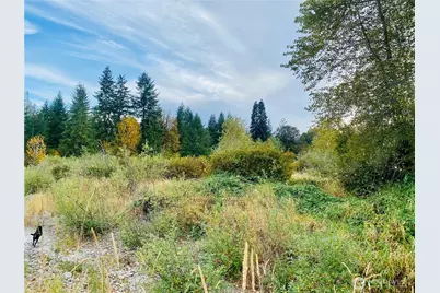 3444 W Matlock-Brady Road, Elma, WA 98541 - Photo 4