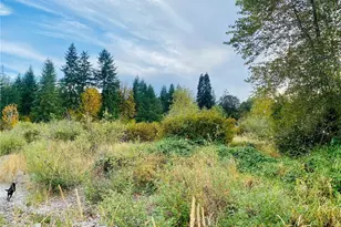 3444 W Matlock-Brady Rd, Elma, WA 98541 - Photo 4