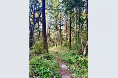 999 Hancock Street, Port Townsend, WA 98368 - Photo 1