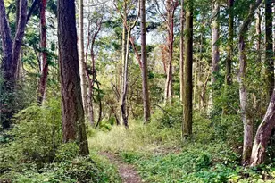 999 Hancock St, Port Townsend, WA 98368 - Photo 1
