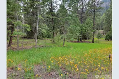 40 Evergreen Drive, Curlew, WA 99118 - Photo 6