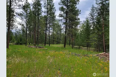 40 Evergreen Drive, Curlew, WA 99118 - Photo 12