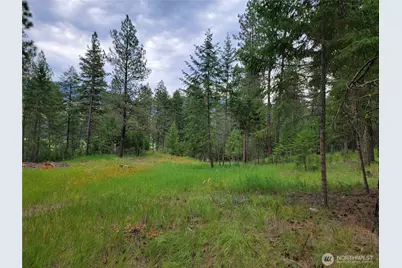 40 Evergreen Drive, Curlew, WA 99118 - Photo 2
