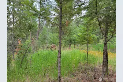 40 Evergreen Drive, Curlew, WA 99118 - Photo 8