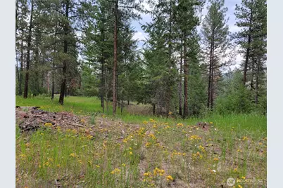 40 Evergreen Drive, Curlew, WA 99118 - Photo 4