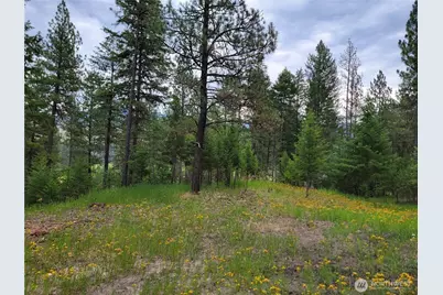 40 Evergreen Drive, Curlew, WA 99118 - Photo 10