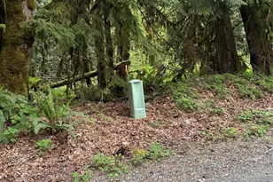0 Upper Frost Creek Rd, Maple Falls, WA 98266 - Photo 1