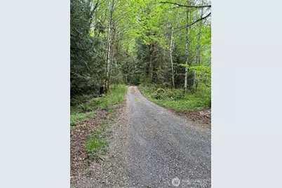 0 Upper Frost Creek Road, Maple Falls, WA 98266 - Photo 4