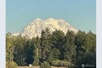 33913 4th Avenue E, Roy, WA 98580 - Photo 34