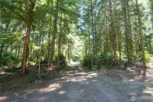 3499 SE Bear Tree Ln, Port Orchard, WA 98367 - Photo 40