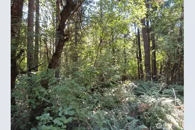 115 Campground Lane, Winlock, WA 98596 - Photo 12