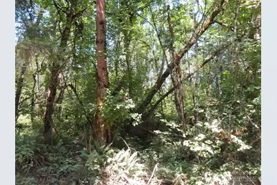 115 Campground Lane, Winlock, WA 98596 - Photo 18
