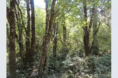 115 Campground Lane, Winlock, WA 98596 - Photo 14