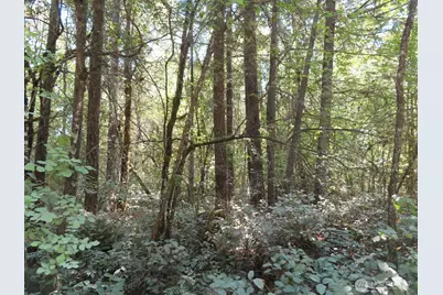 115 Campground Lane, Winlock, WA 98596 - Photo 6