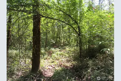 115 Campground Lane, Winlock, WA 98596 - Photo 8