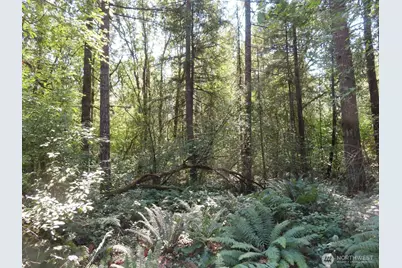115 Campground Lane, Winlock, WA 98596 - Photo 4