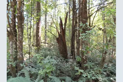 115 Campground Lane, Winlock, WA 98596 - Photo 2