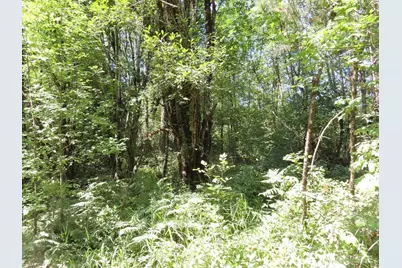 115 Campground Lane, Winlock, WA 98596 - Photo 10