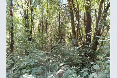 115 Campground Lane, Winlock, WA 98596 - Photo 16