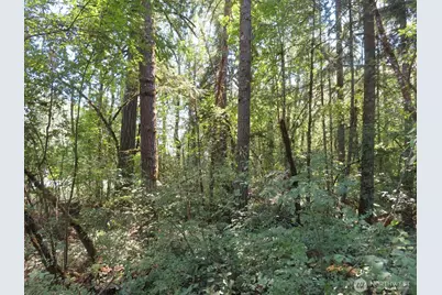 115 Campground Lane, Winlock, WA 98596 - Photo 1