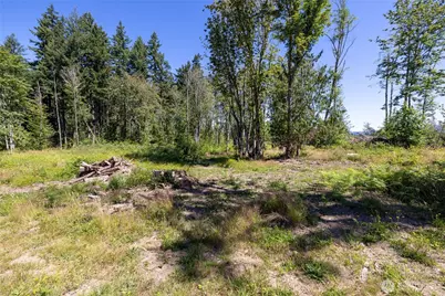 29427 Orting Kapowsin Highway E, Graham, WA 98338 - Photo 36