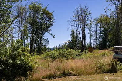 29427 Orting Kapowsin Highway E, Graham, WA 98338 - Photo 26
