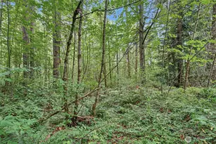 29405 39th Ave Ct E, Graham, WA 98338 - Photo 36