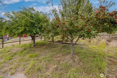 5375 Shore Meadow Road, Freeland, WA 98249 - Photo 38