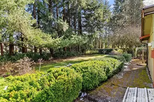 3424 26th Ave NE, Olympia, WA 98506 - Photo 16