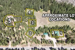 226 Lost River Rd, Mazama, WA 98833 - Photo 12