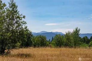 51 Hawks Pr Rd, Sequim, WA 98382 - Photo 4