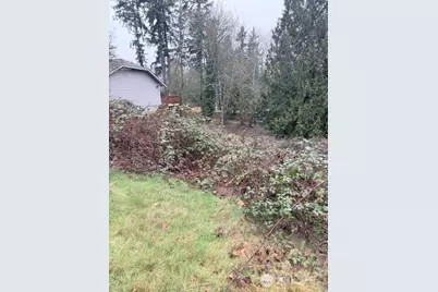 14708 SE 145th Place, Renton, WA 98059 - Photo 4