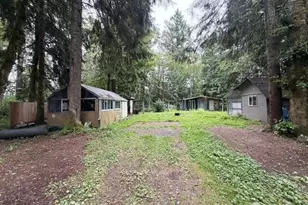 55901 317th Ave E, Ashford, WA 98304 - Photo 20