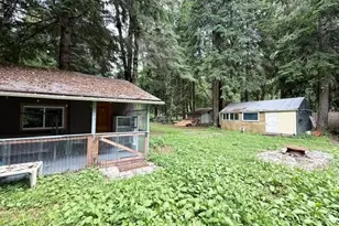 55901 317th Ave E, Ashford, WA 98304 - Photo 14
