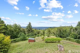 4955 Green Mountain Rd, Kalama, WA 98625 - Photo 18