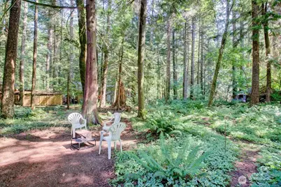 1120 Alder Lane, Maple Falls, WA 98266 - Photo 26