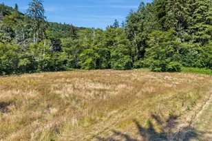 22 Pollari Rd, Raymond, WA 98577 - Photo 40