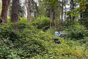 14140 Old Hwy 99 SE, Tenino, WA 98589 - Photo 14