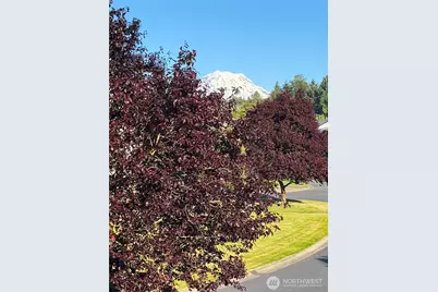 18502 94th Avenue E, Puyallup, WA 98375 - Photo 30
