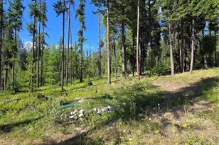 61 Rone Rd, Tonasket, WA 98855 - Photo 16
